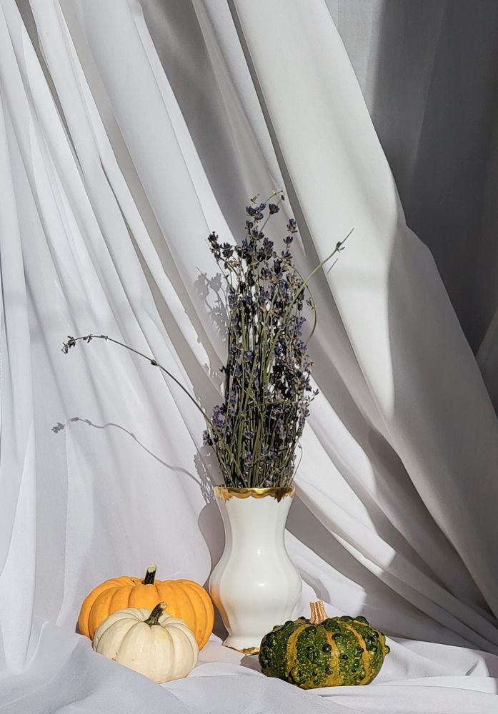 Фотография автора Ольга Дубалеко