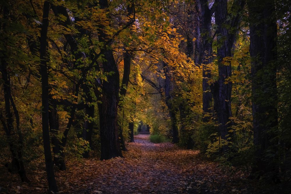 Photograph by Светлана Краюшкина