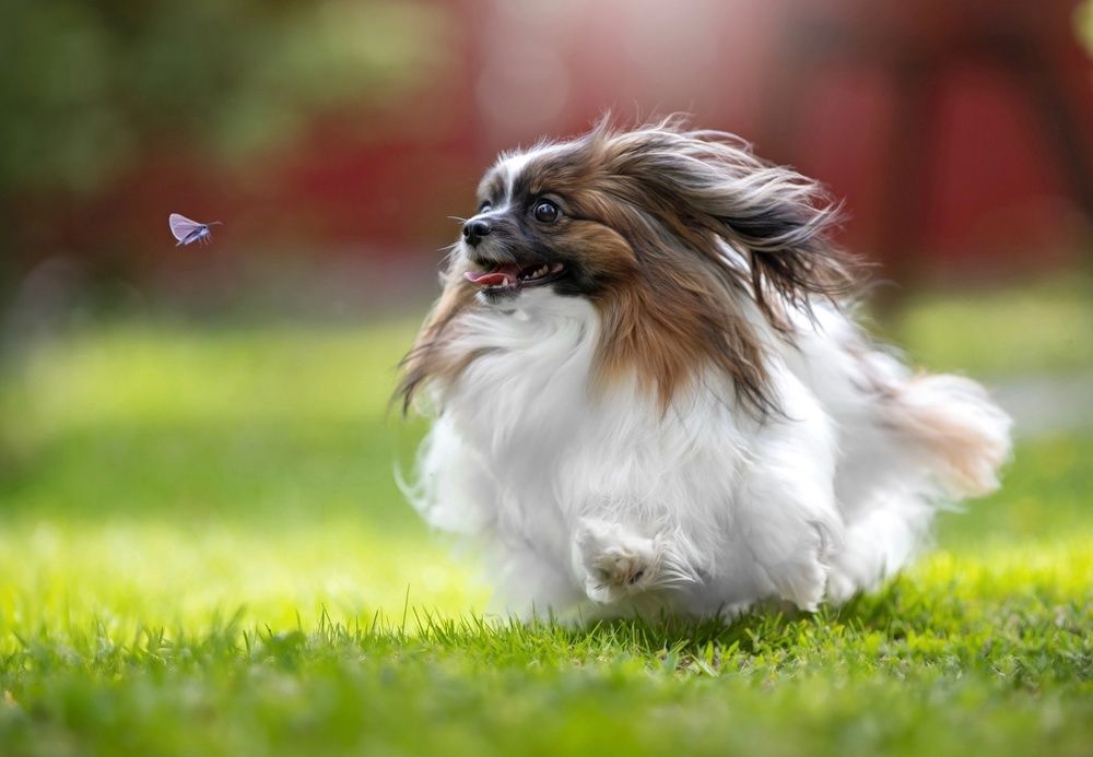 Photograph by Светлана Писарева