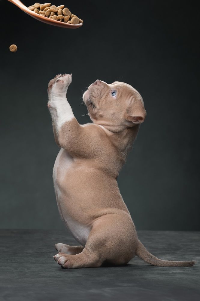 Photograph by Светлана Писарева