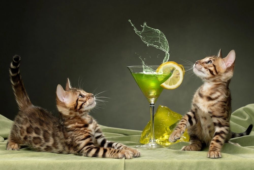 Photograph by Светлана Писарева