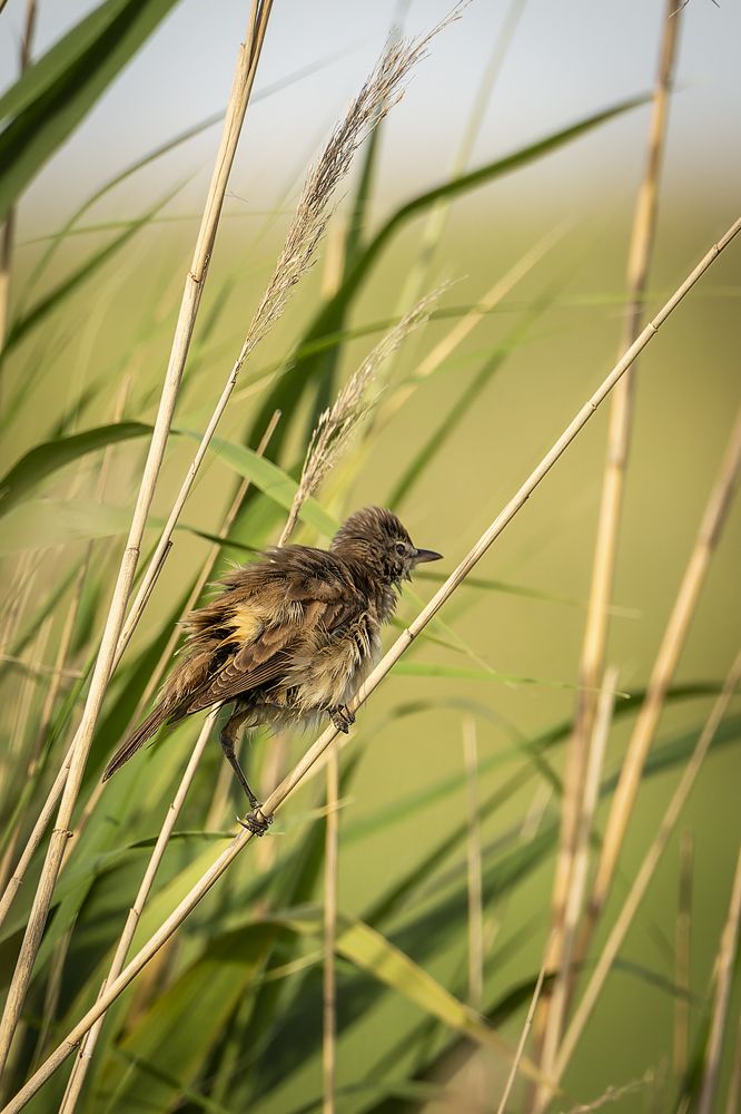 Photograph by Александр Ильин