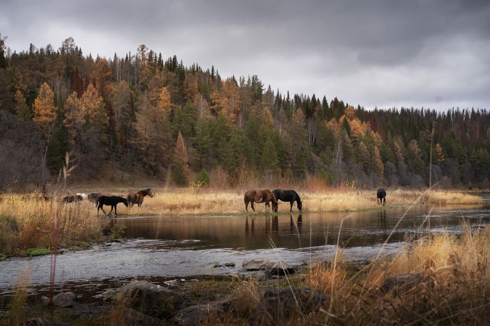 Photograph by Наталья Горохова