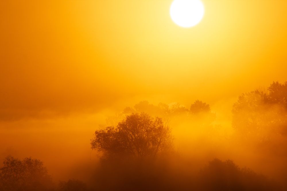 Photograph by Оксана Пидоря