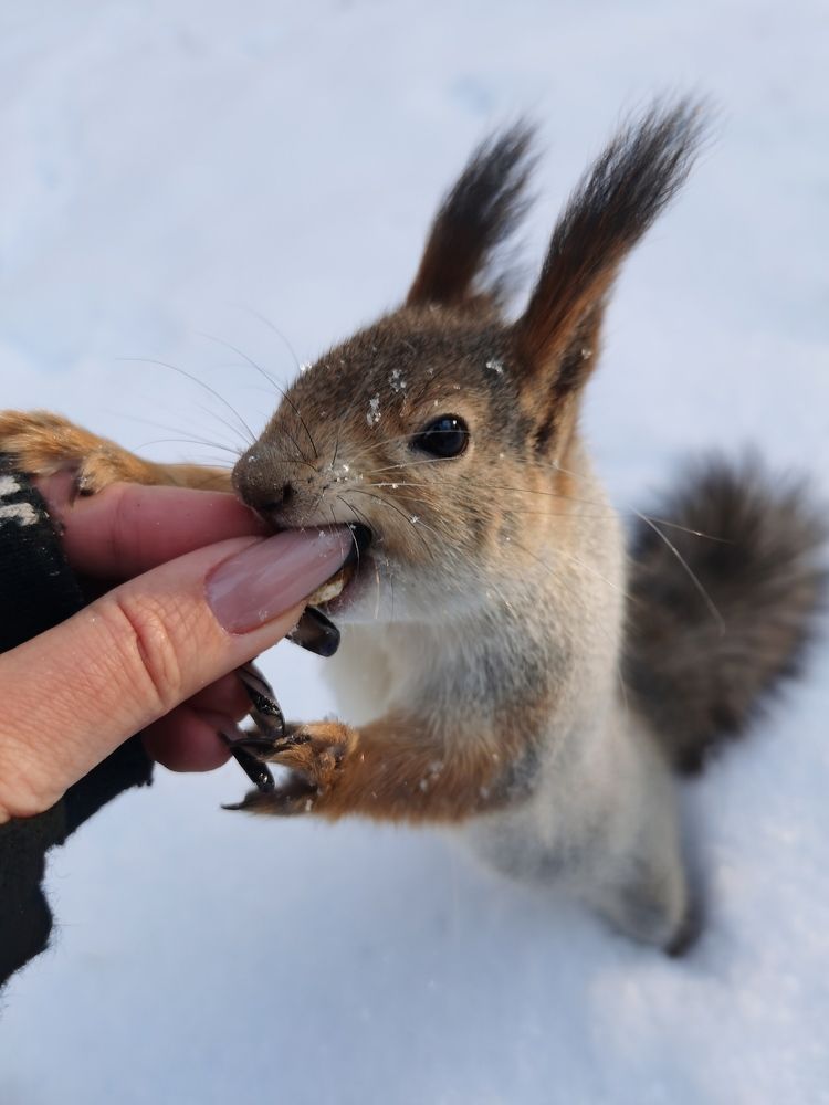 Photograph by Galina Belinskya