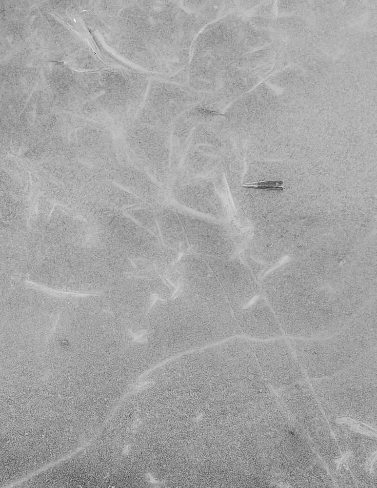 Photograph by Светлана Шиляева