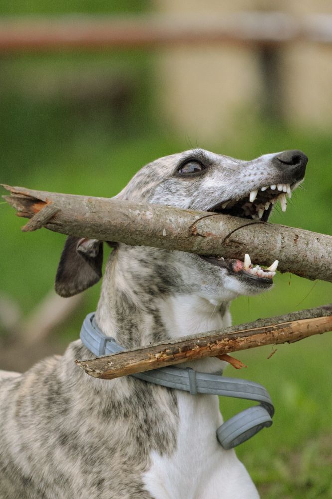 Photograph by Ангелина Высочина