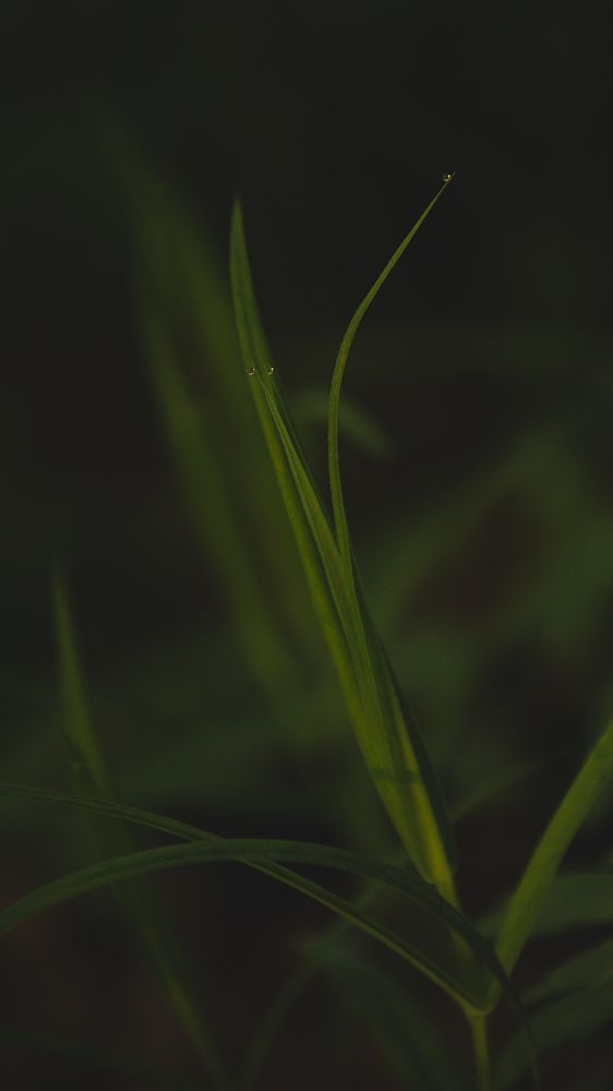 Photograph by Анастасия Черкасова