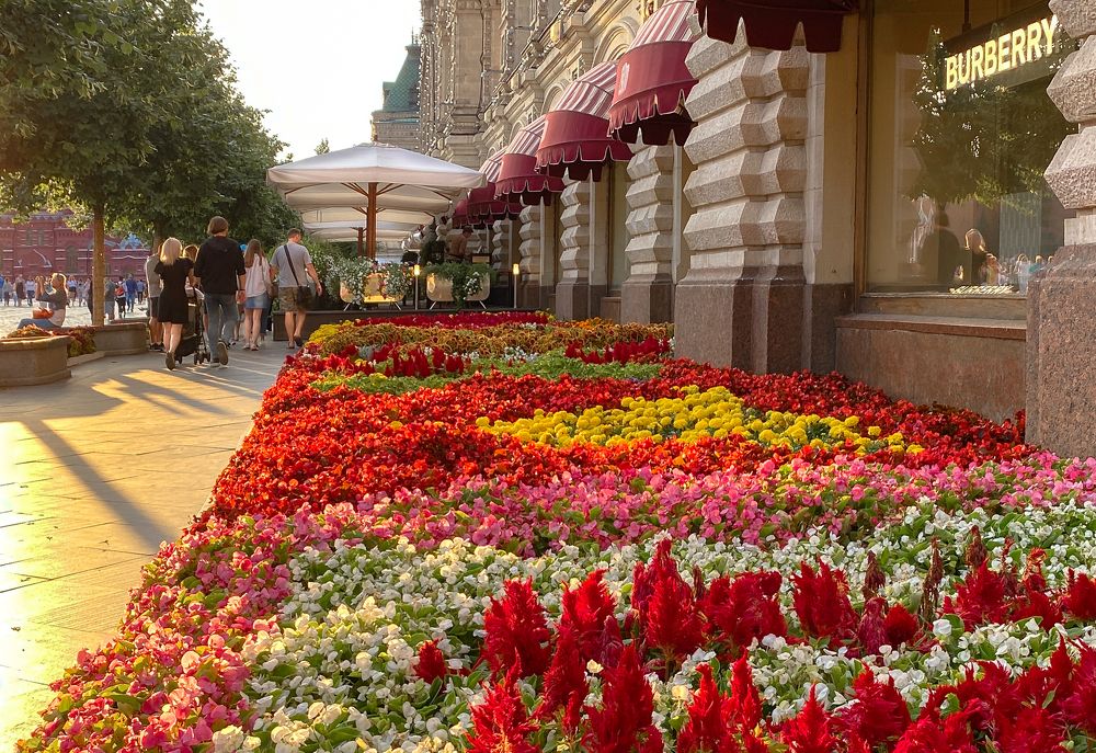 Цветущее лето