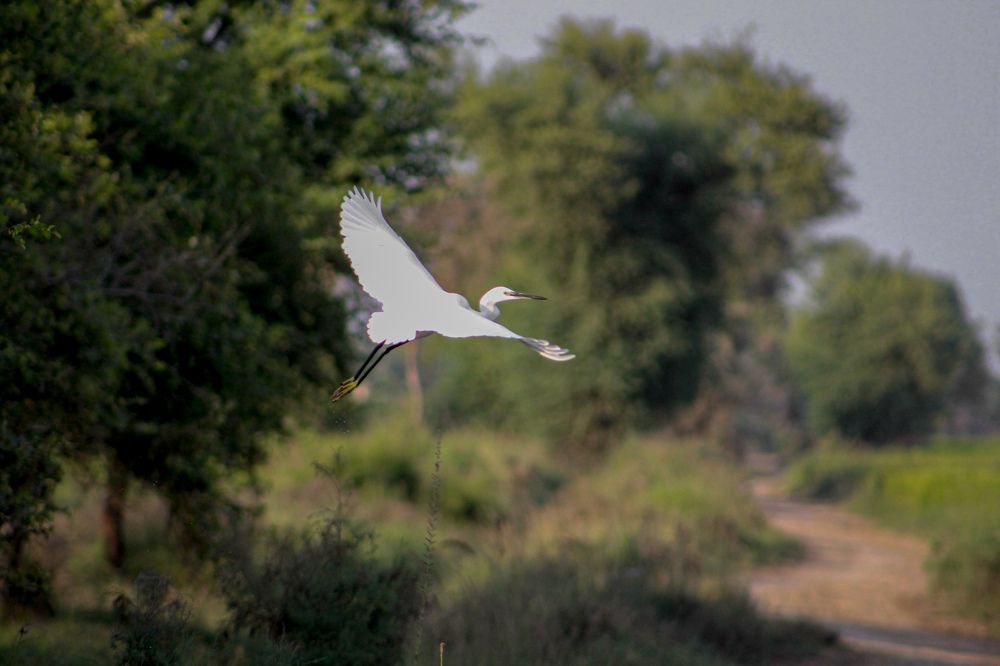 Photograph by Ghulam Murtaza Lashari