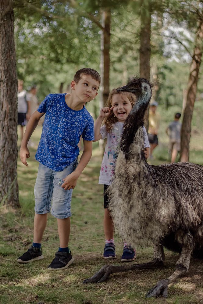 Photograph by Диана Лукашевич