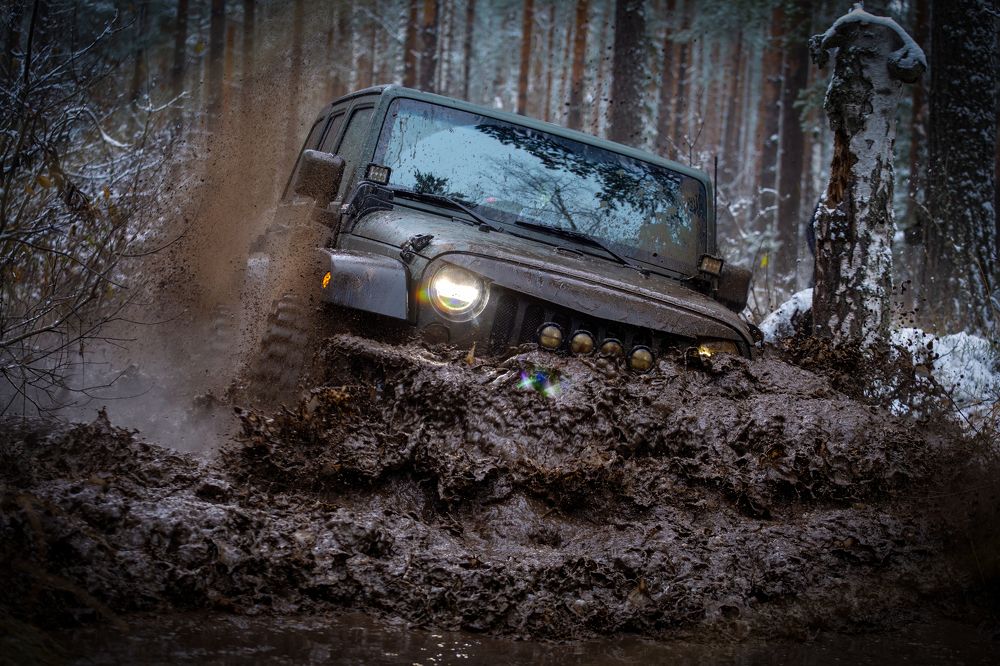 Фотография автора Почечуй Андрей