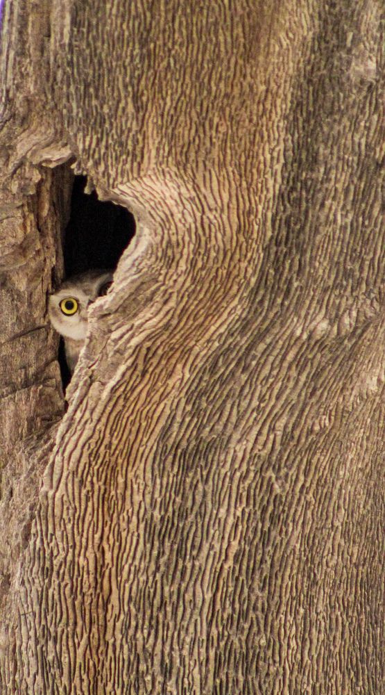 Photograph by Ghulam Murtaza Lashari
