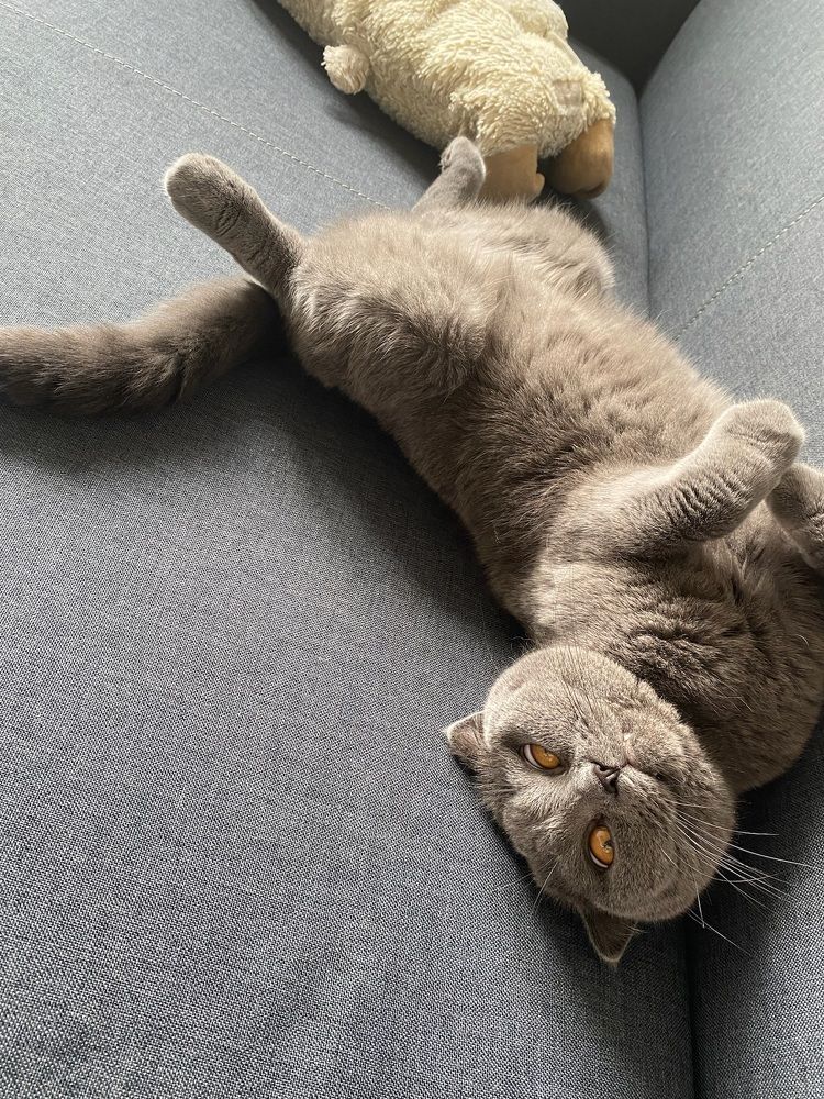 Photograph by Диана Лукашевич