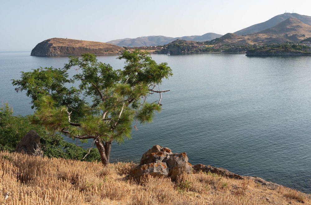 Фотография автора DIMITRIS MPAZIOTOPOULOS