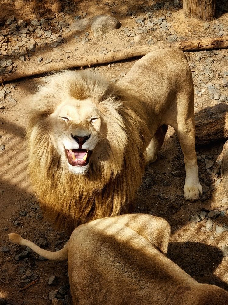 Photograph by Hanna Bourne