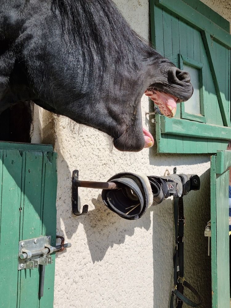 Photograph by Hanna Bourne