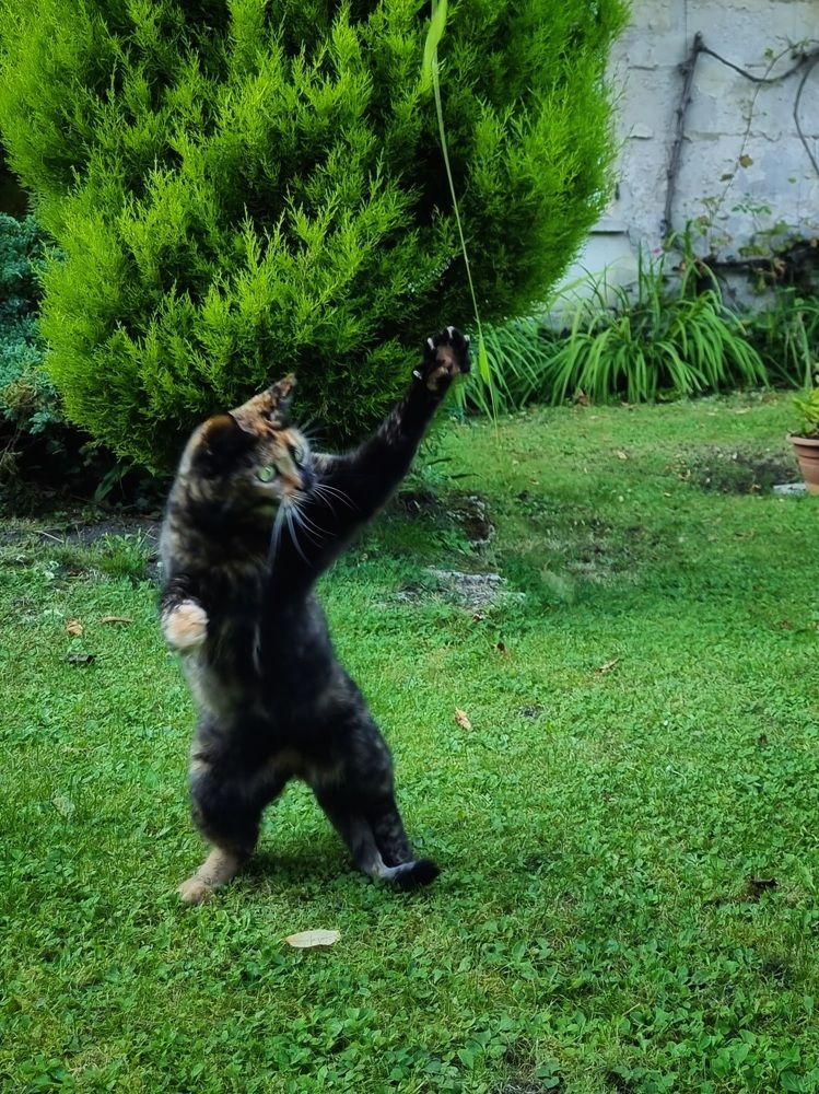 Photograph by Hanna Bourne