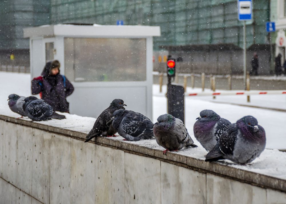 Photograph by Игорь Грашин