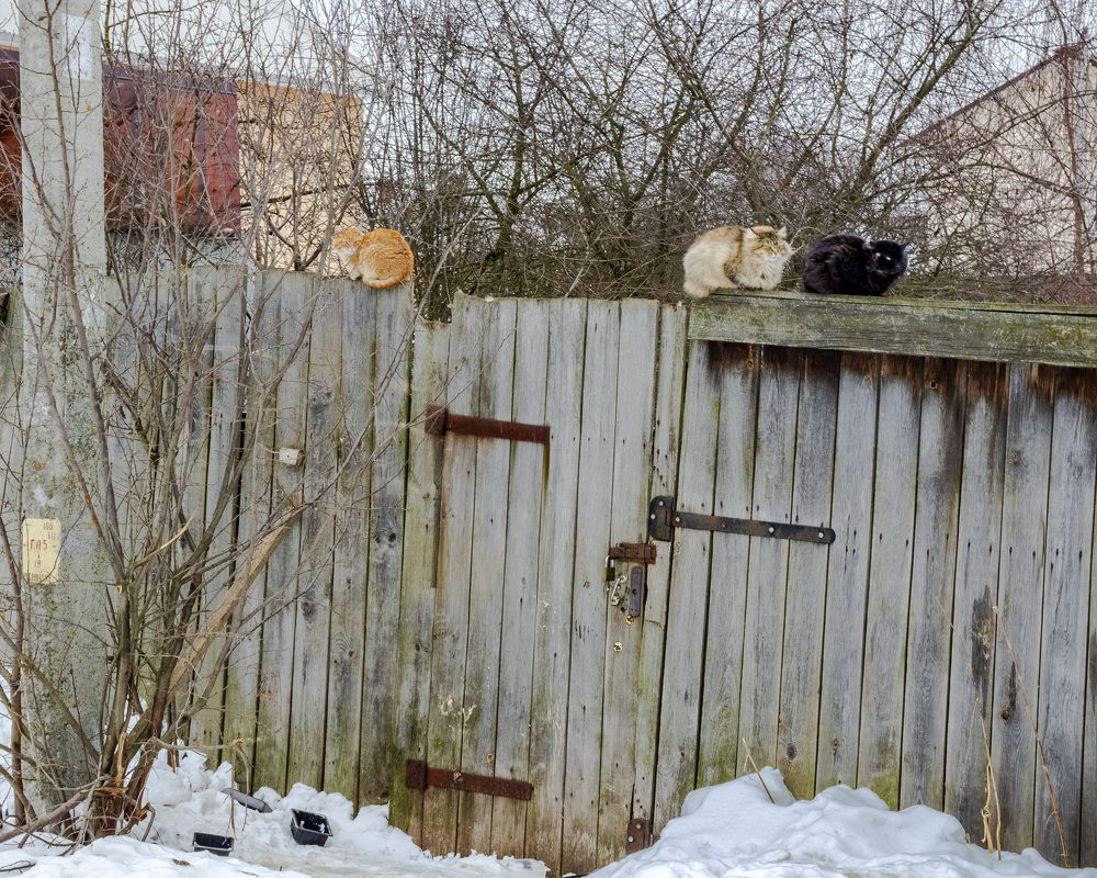 Photograph by Игорь Грашин