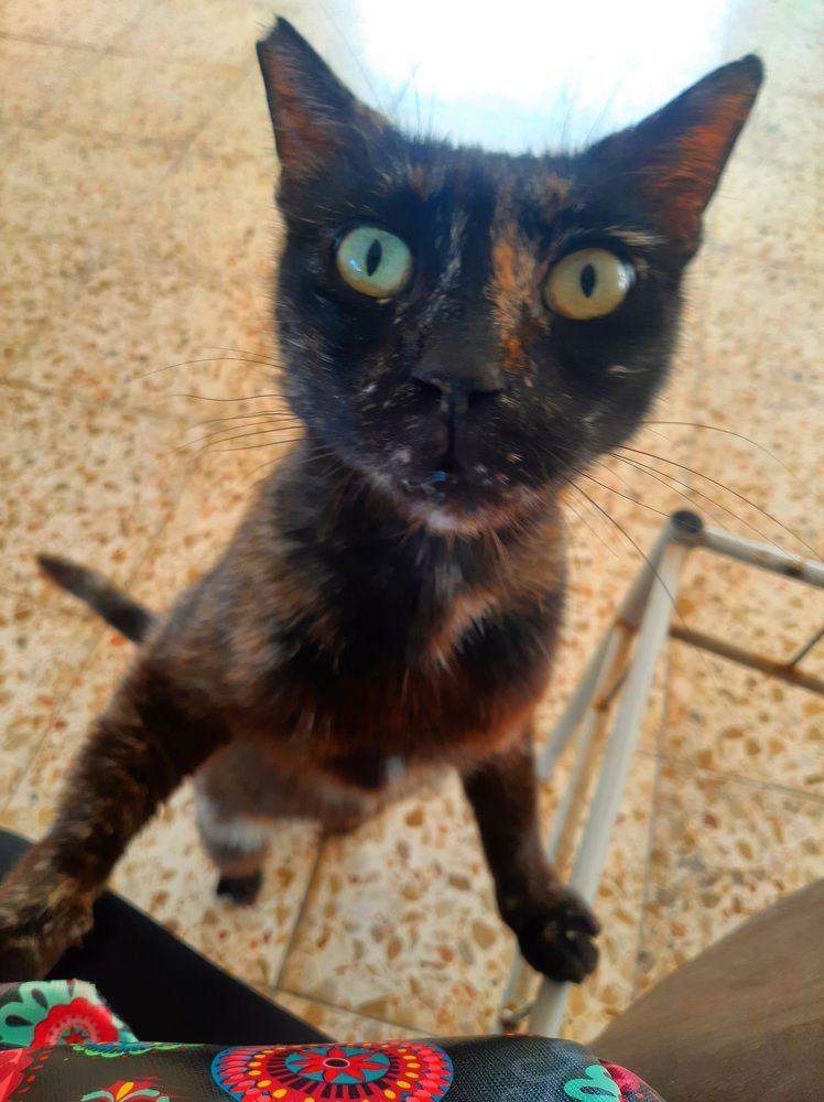 Photograph by virgilija61 Motejunaite