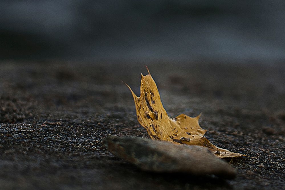 Photograph by Ольга Кривенцова