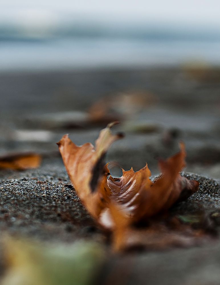 Photograph by Ольга Кривенцова