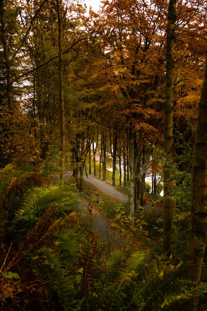 Photograph by Ірина Чумакова