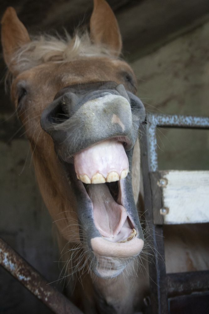 Photograph by Нелли