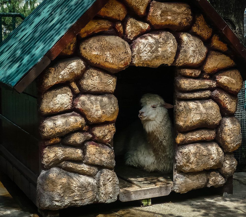 Photograph by Ирина Андреевна