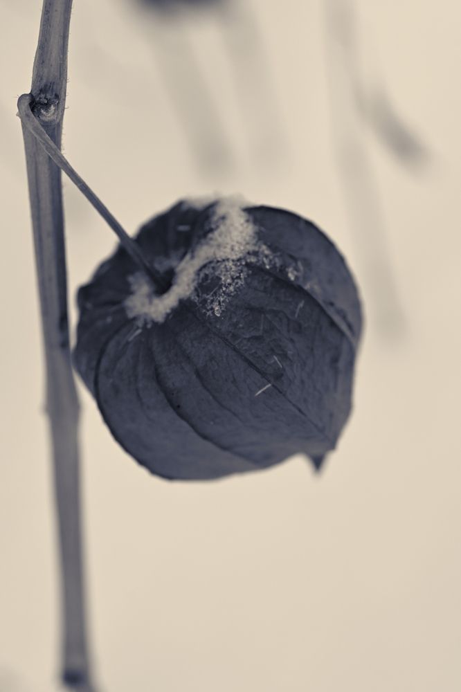 Фотография автора Vitaly Voloshin