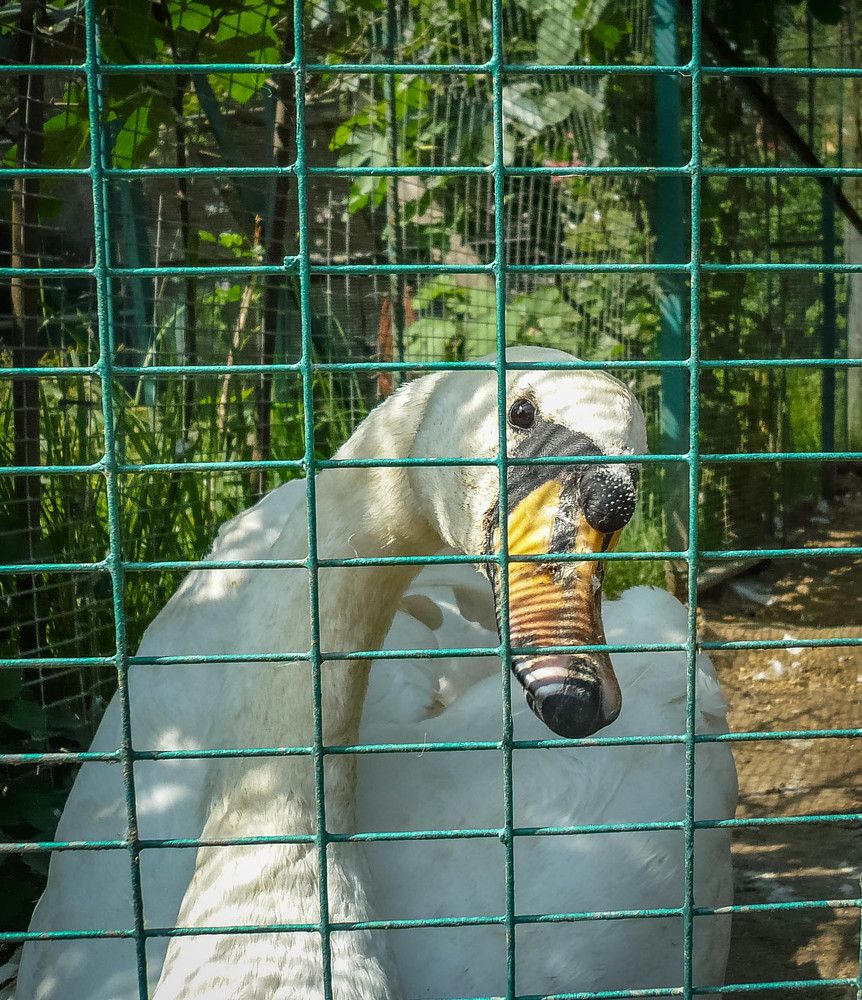 Photograph by Ирина Андреевна