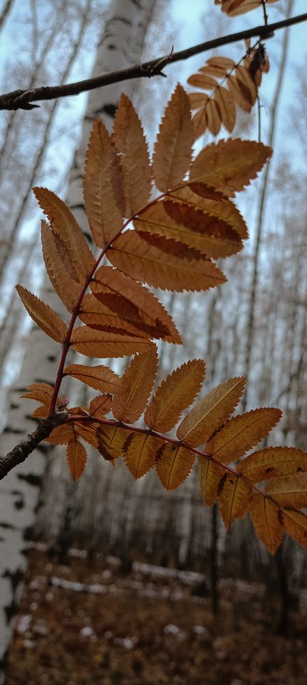 Photograph by Насима Кучумова
