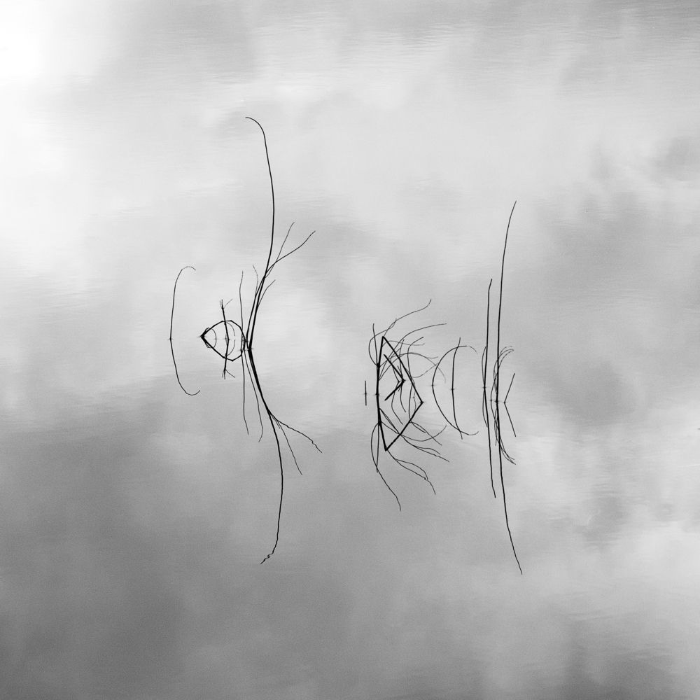 Photograph by Крицак Ольга