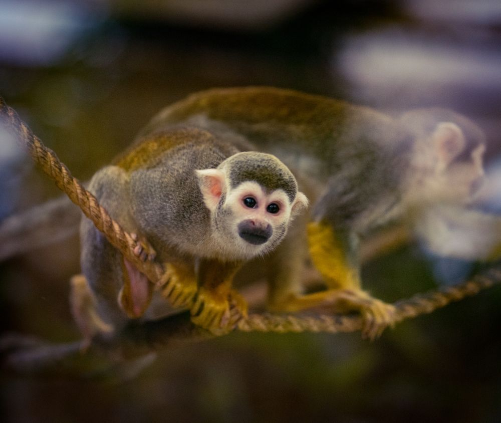 Photograph by Anna Prohorova