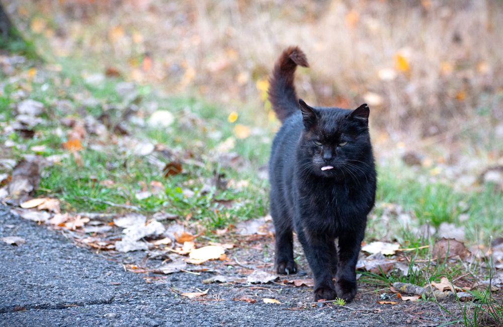 Photograph by Максим Жухлистов