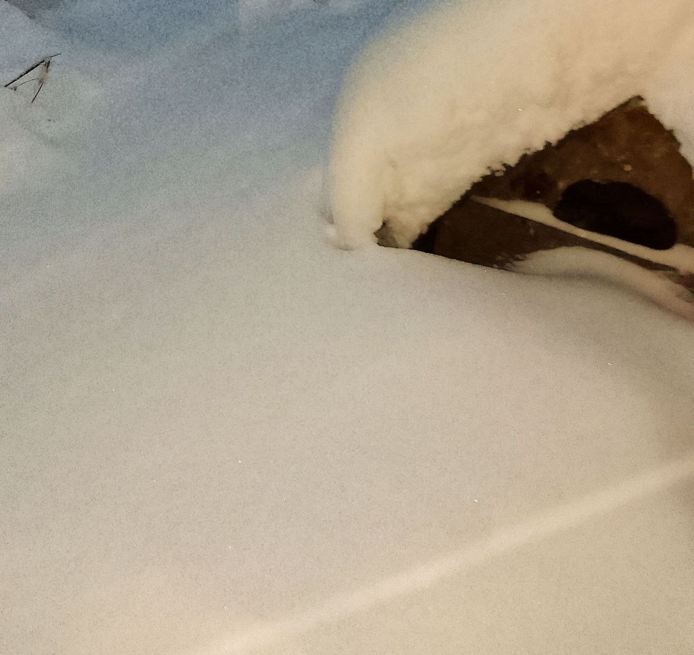 Photograph by Ирина