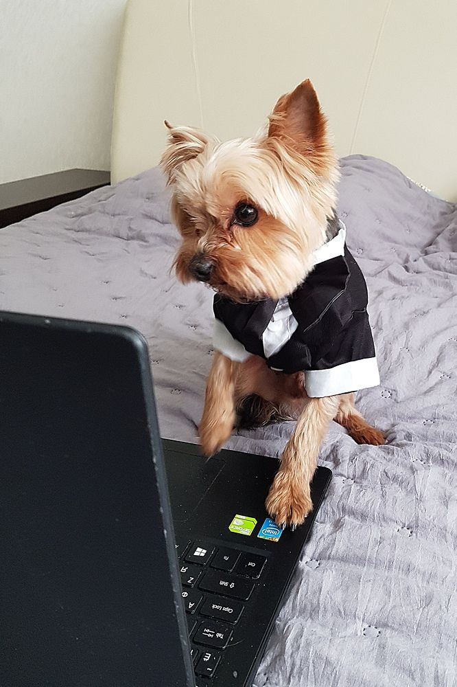 Photograph by Марина Стародуб