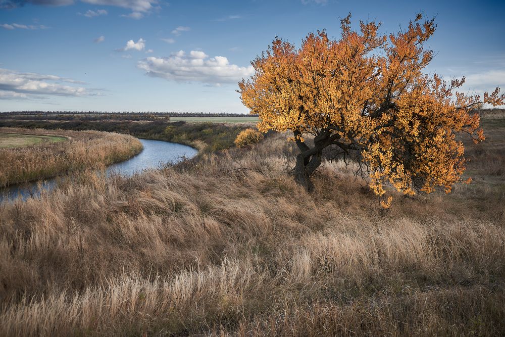 Photograph by Виталий Кравченко