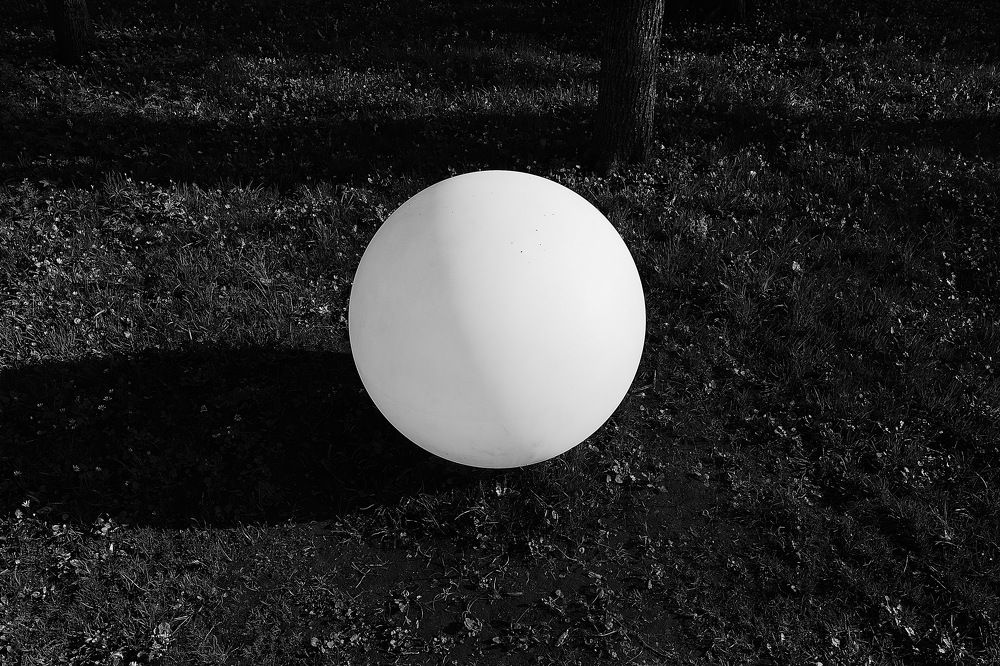 Photograph by Loptev Andrey