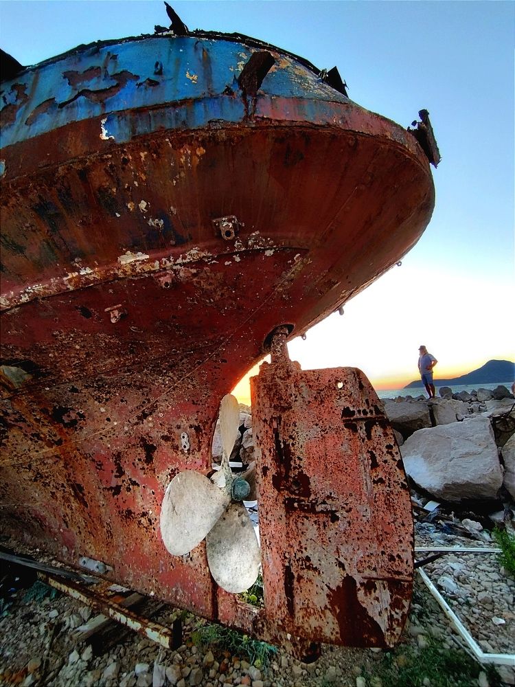 Фотография автора JELENA VASIC