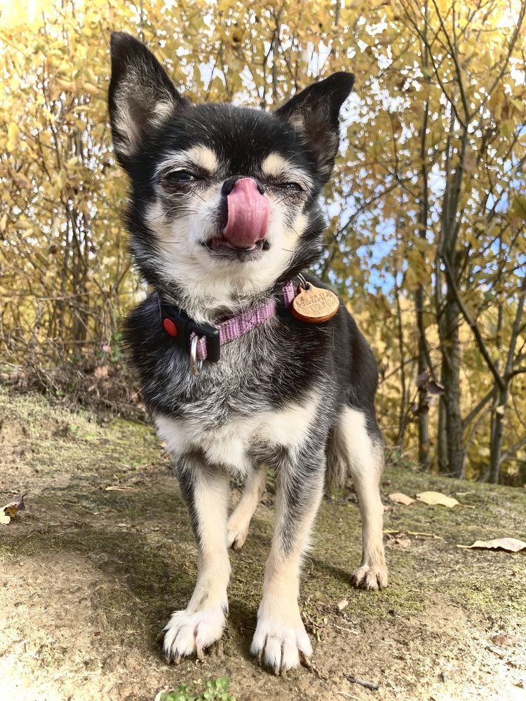 Фотография автора Алина Павлова