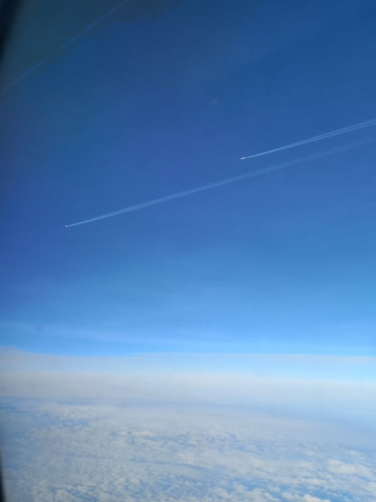 Photograph by Елена Маслова