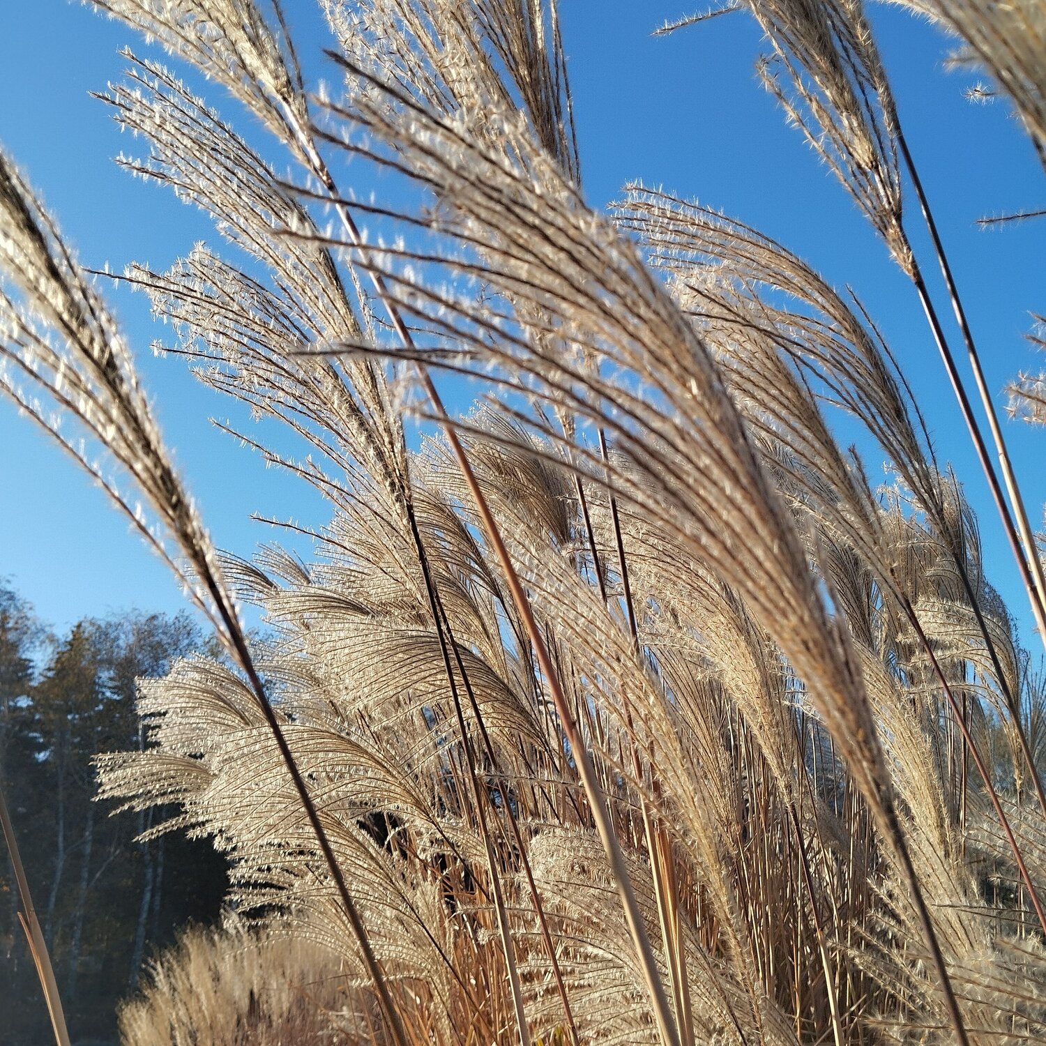 Photo #9798192