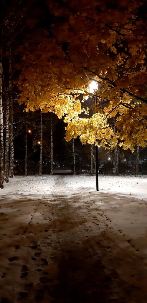 Photograph by Светлана Немонтова