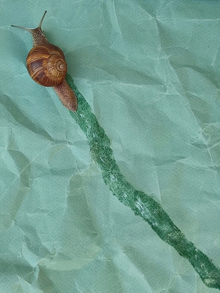 Photograph by Galina Novichkova