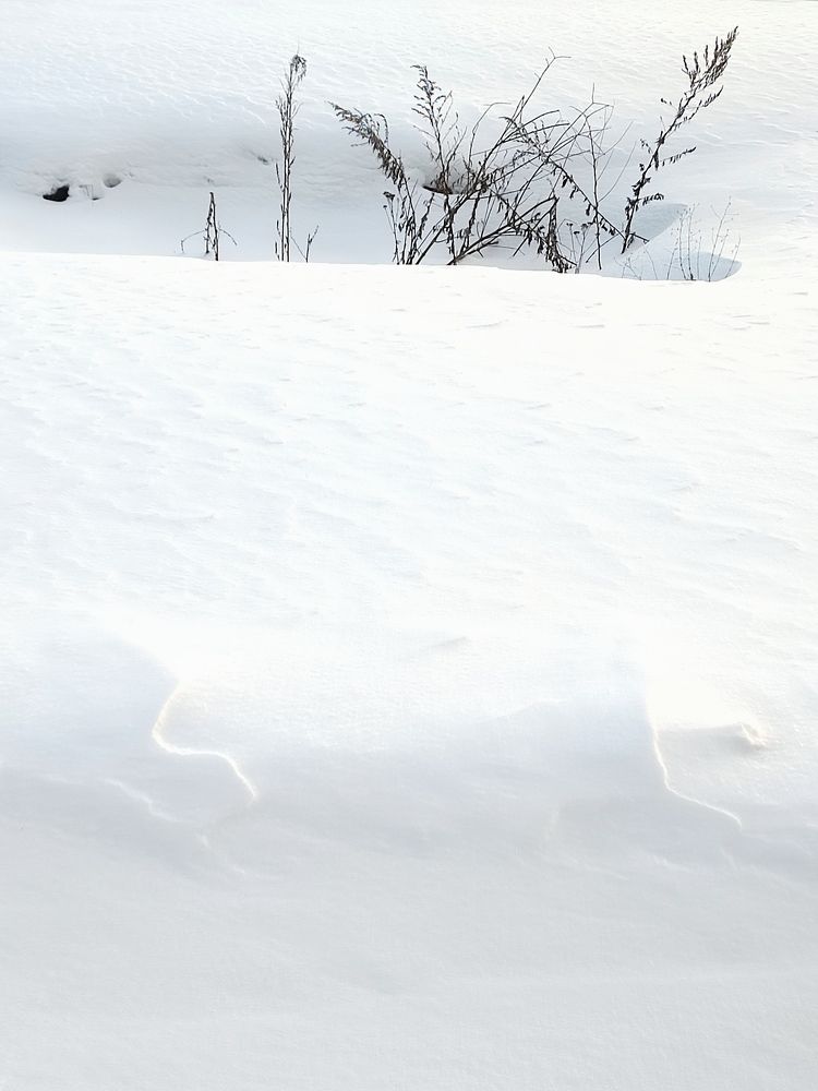 Photograph by Galina Novichkova