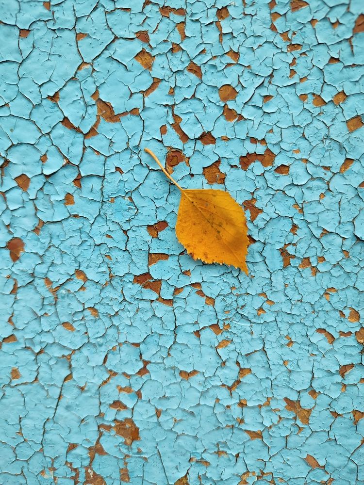 Photograph by Galina Novichkova