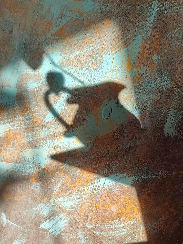 Photograph by Galina Novichkova