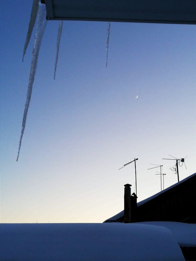 Photograph by Galina Novichkova